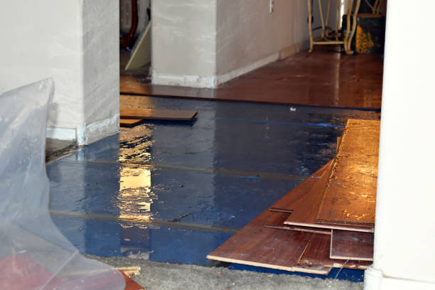Professional Basement Flood Cleanup technician working in Gaines, MI
